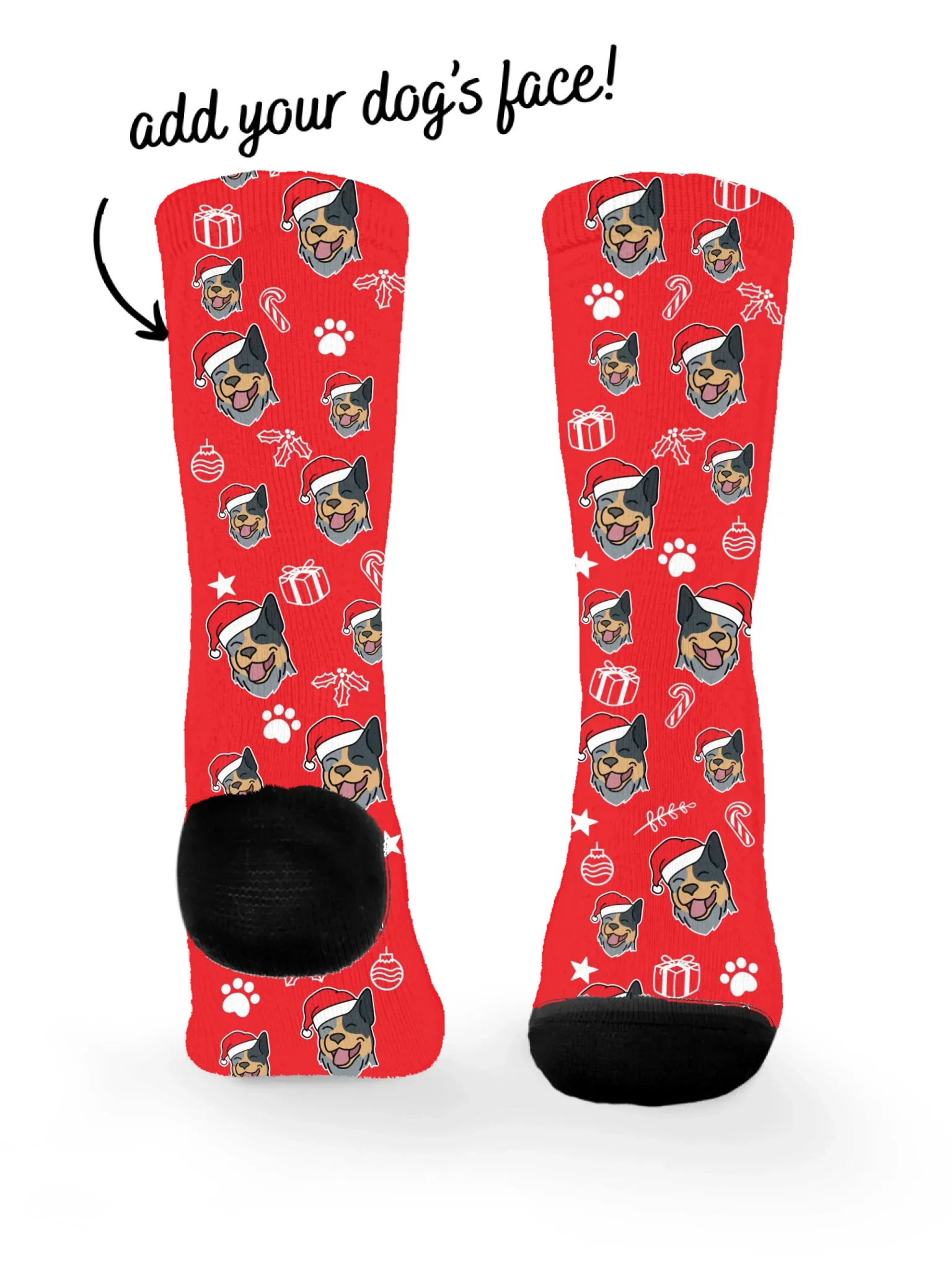 Australian Cattle Dog ColourPop Christmas Edition Socks - Image 3