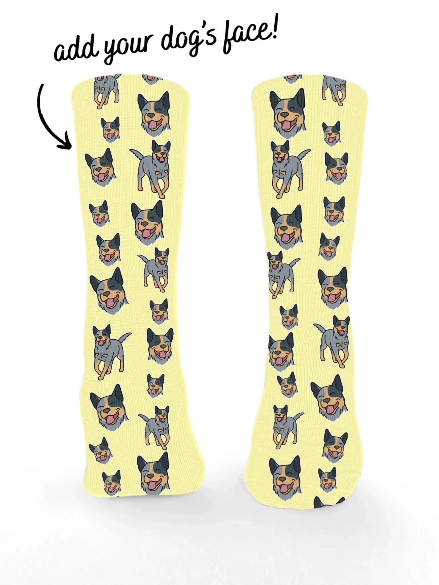 Australian Cattle Dog ColourPop Customisable Socks