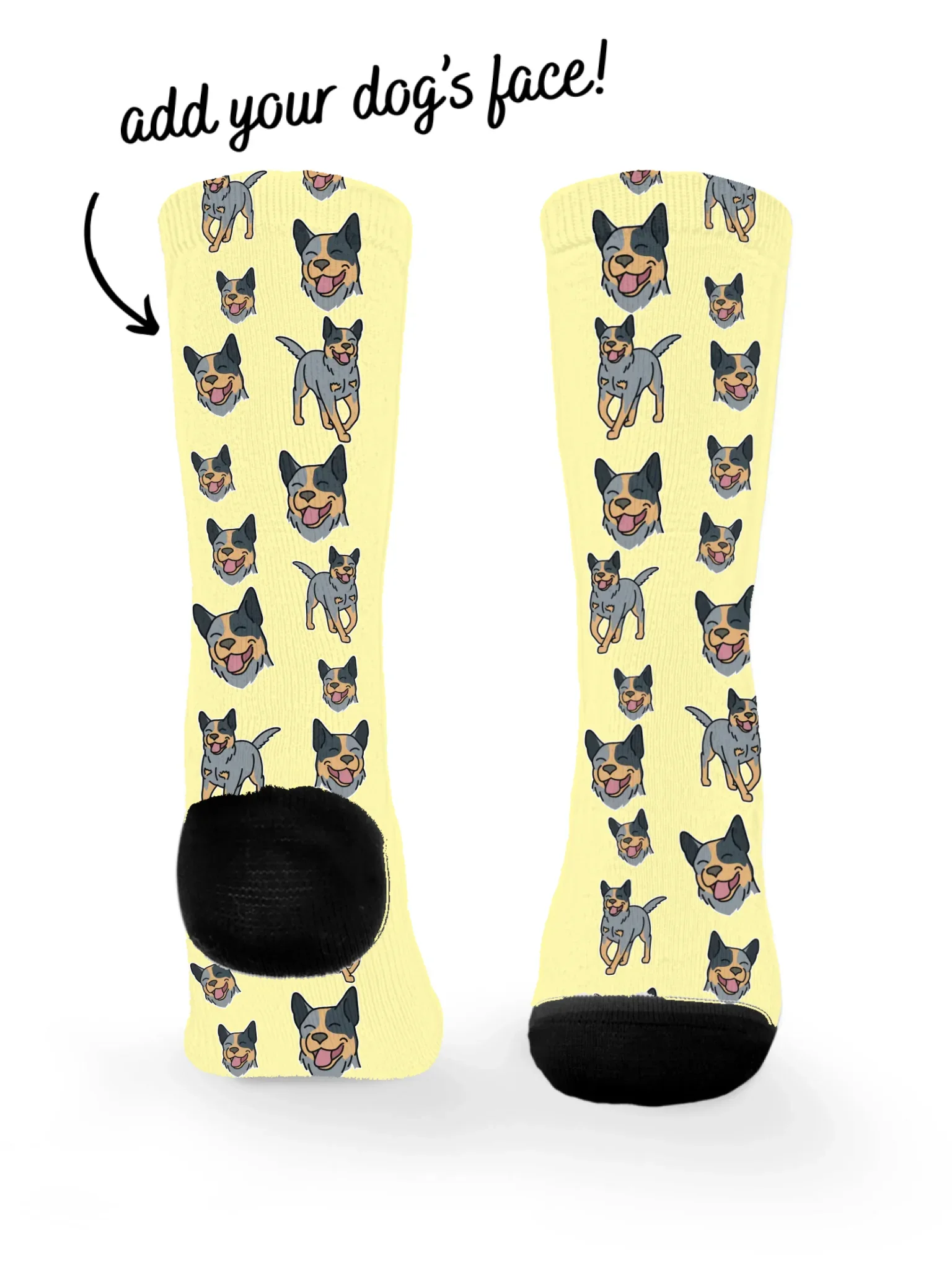 Australian Cattle Dog ColourPop Customisable Socks - Image 3