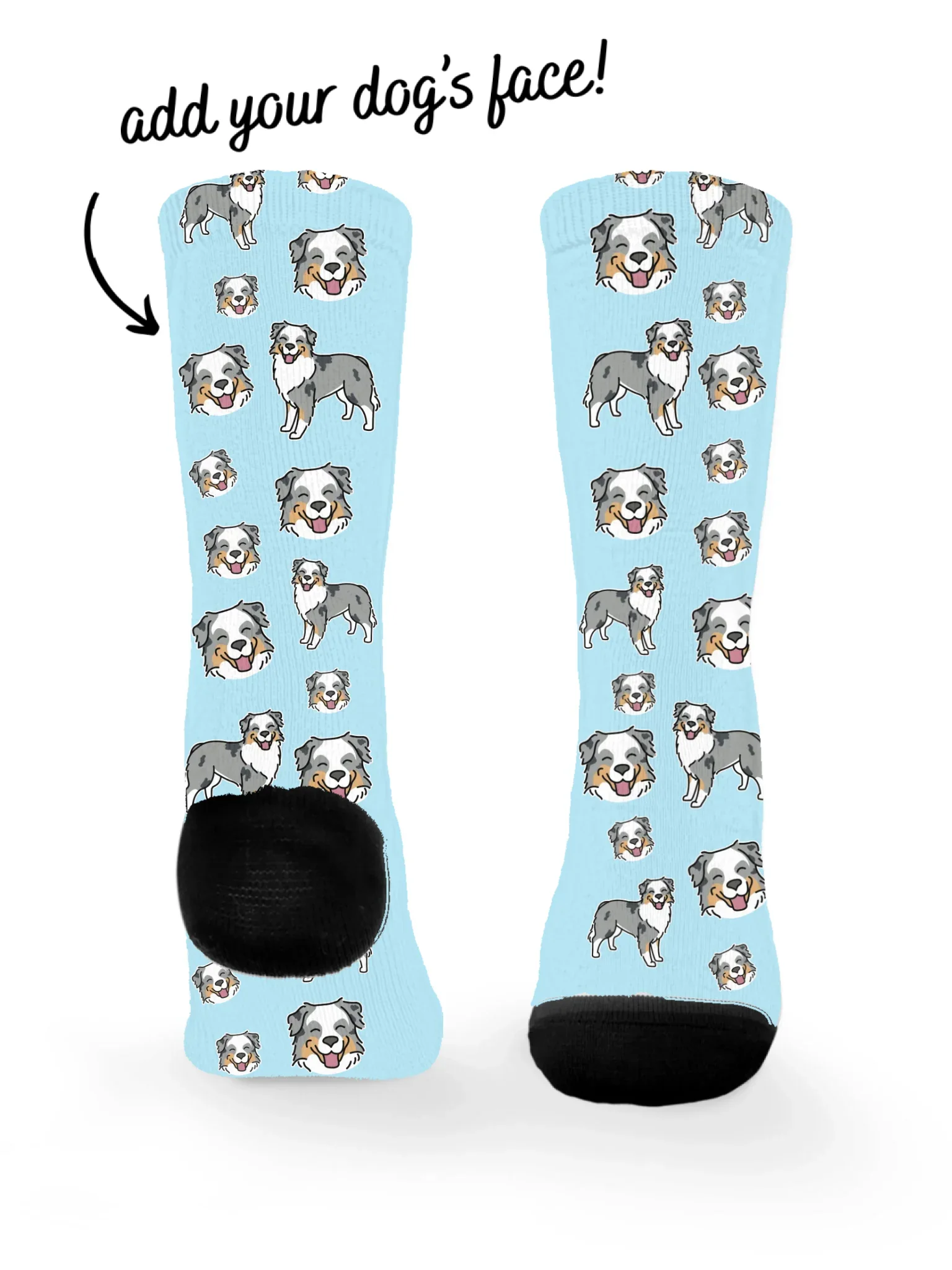 Australian Shepherd ColourPop Customisable Socks - Image 3