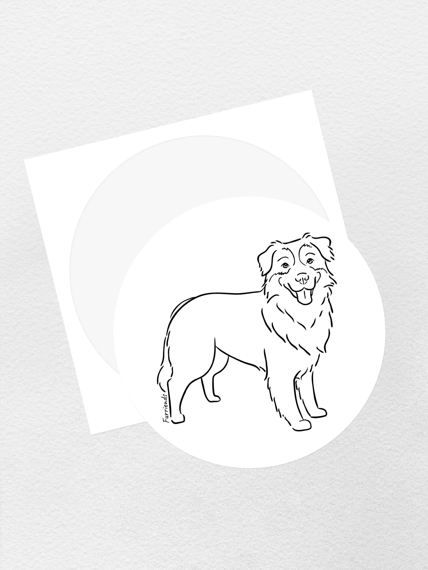 Australian Shepherd Sticker - Image 4