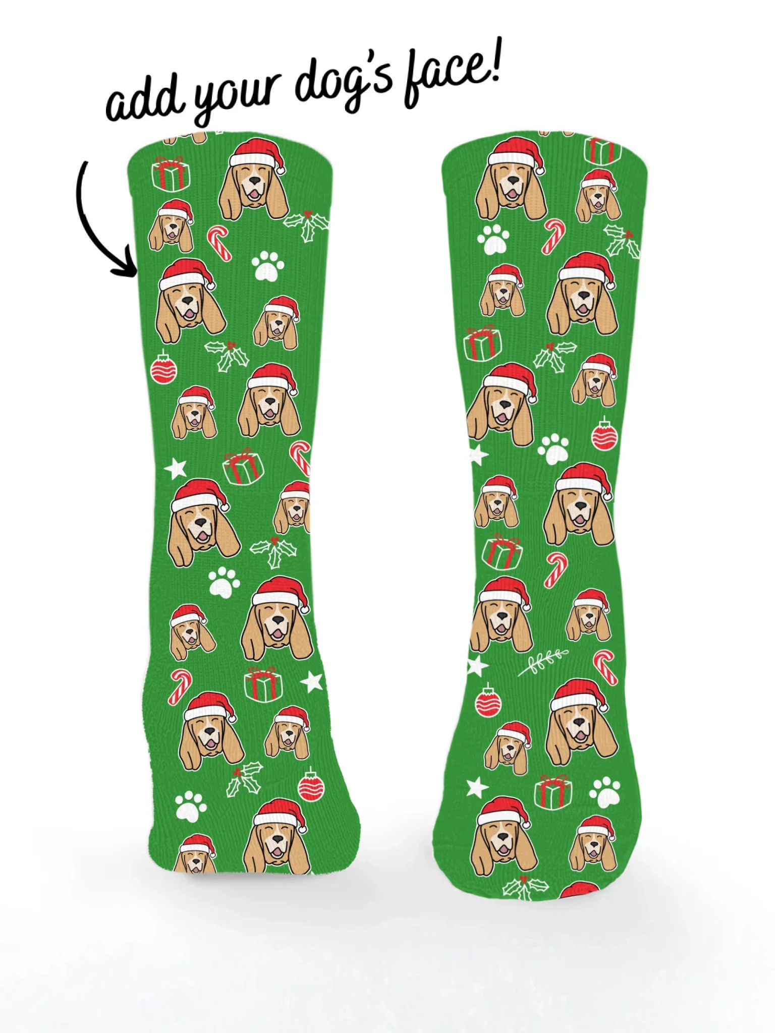 Basset Hound ColourPop Christmas Edition Socks
