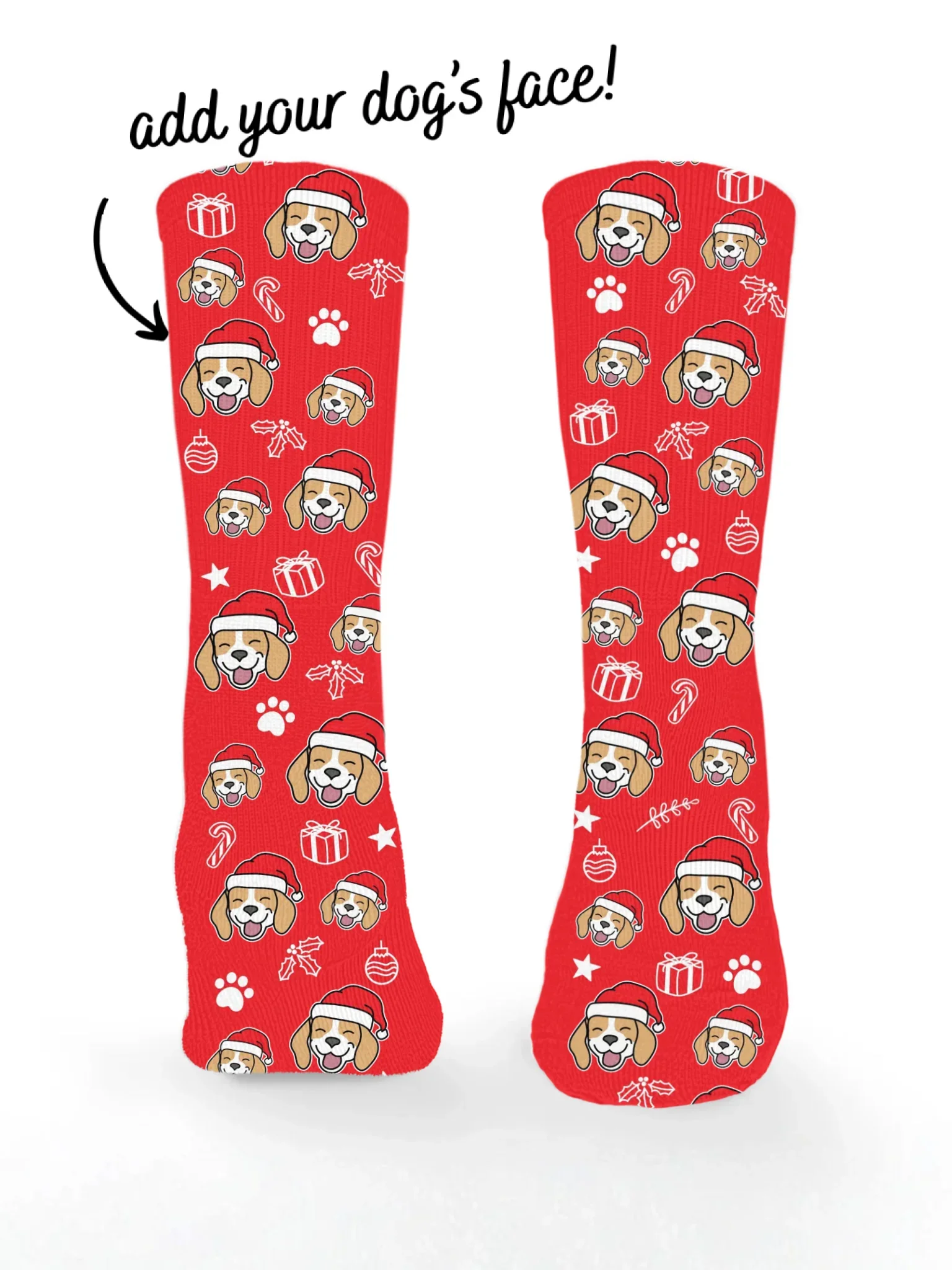 Beagle ColourPop Christmas Edition Socks
