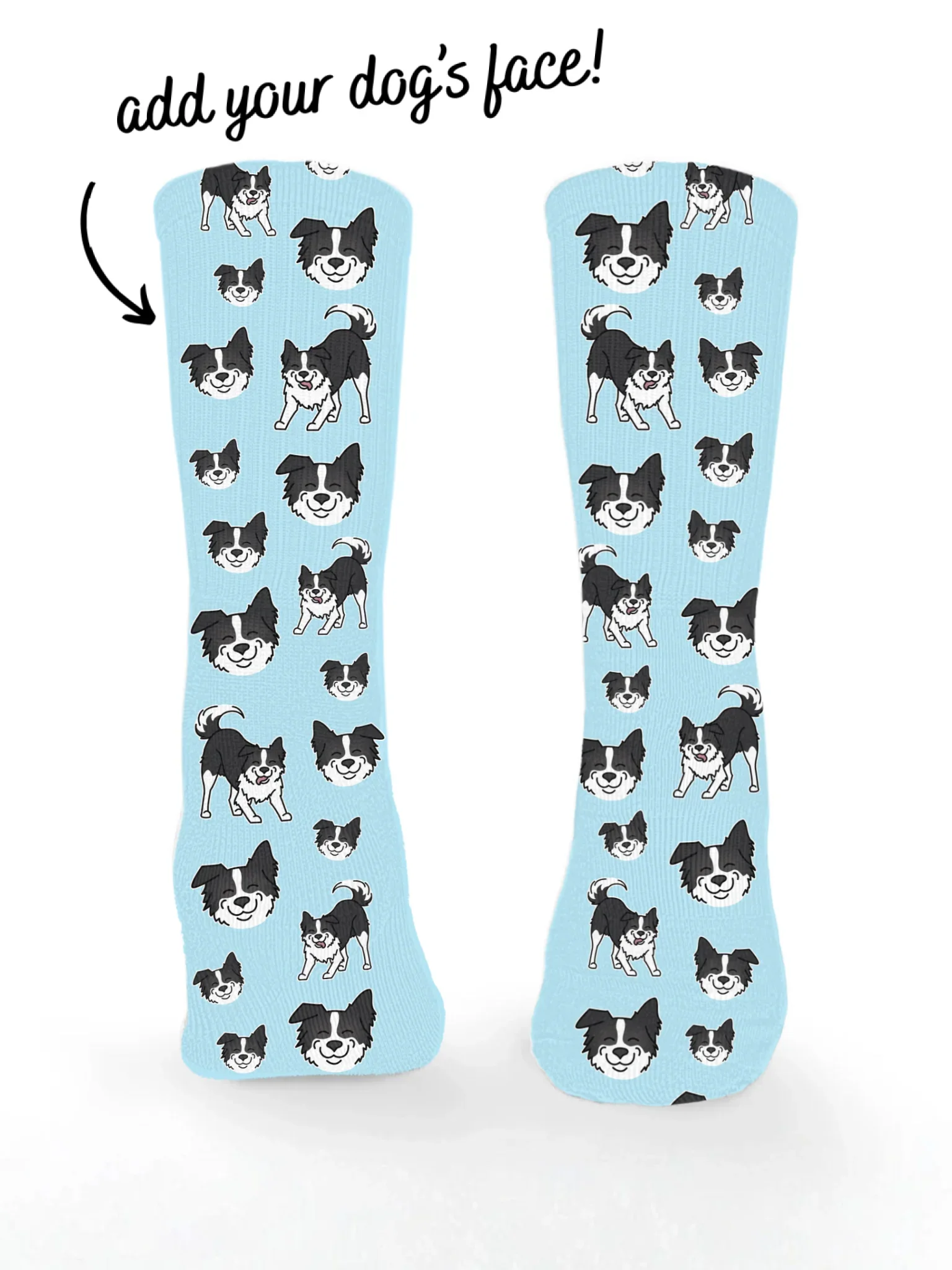 Border Collie ColourPop Customisable Socks