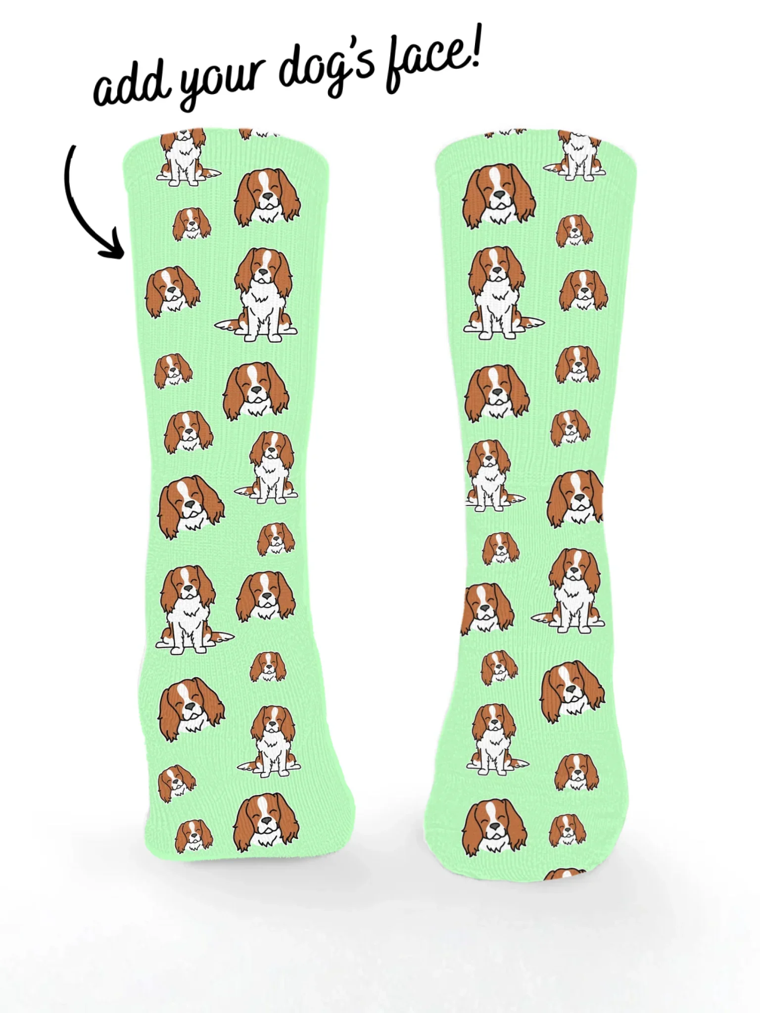 Cavalier King Charles Spaniel ColourPop Customisable Socks