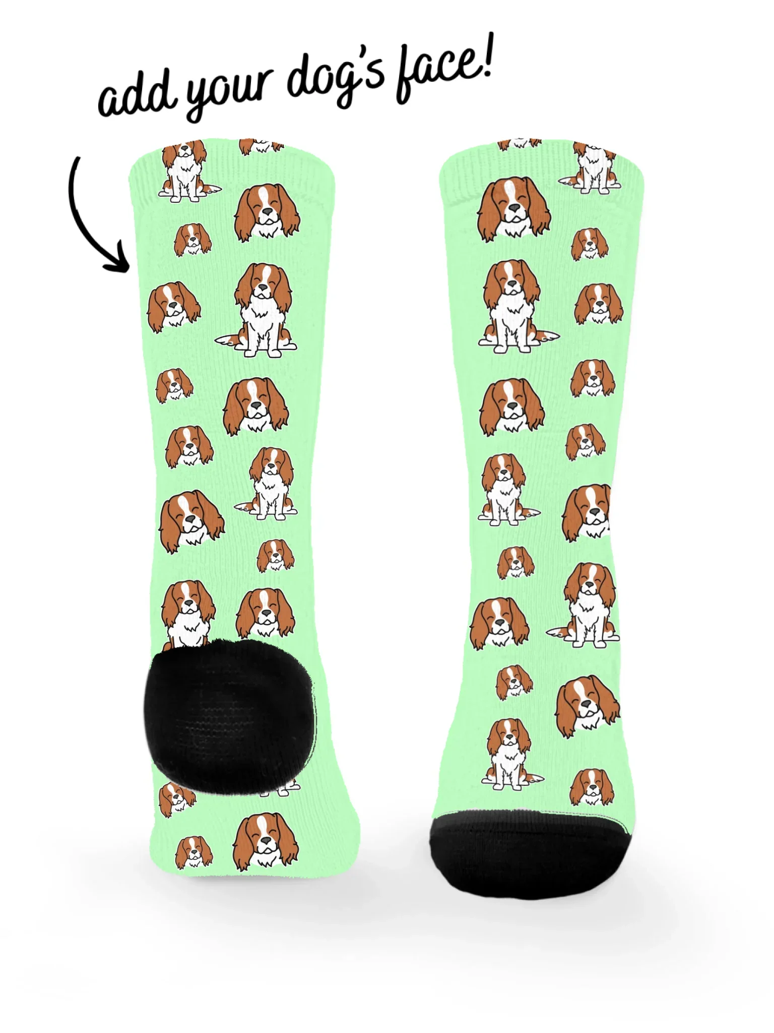 Cavalier King Charles Spaniel ColourPop Customisable Socks - Image 3