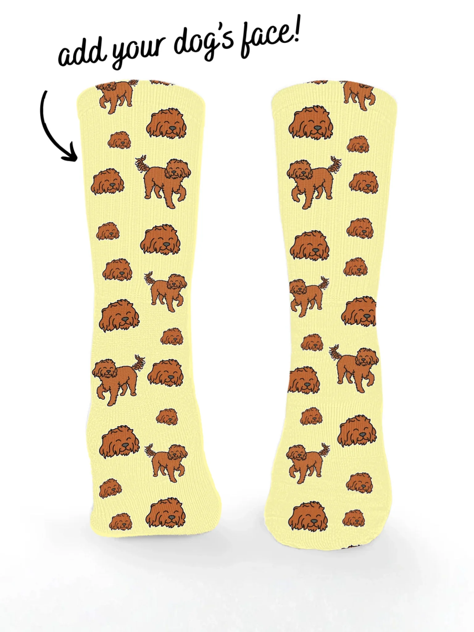 Cavoodle ColourPop Customisable Socks