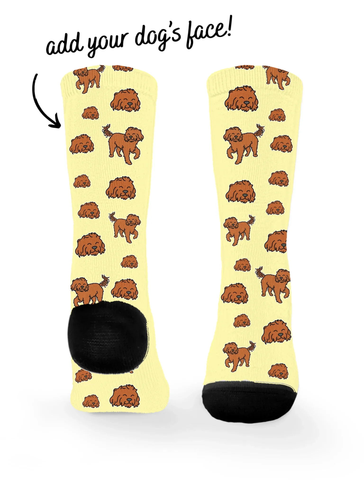 Cavoodle ColourPop Customisable Socks - Image 3
