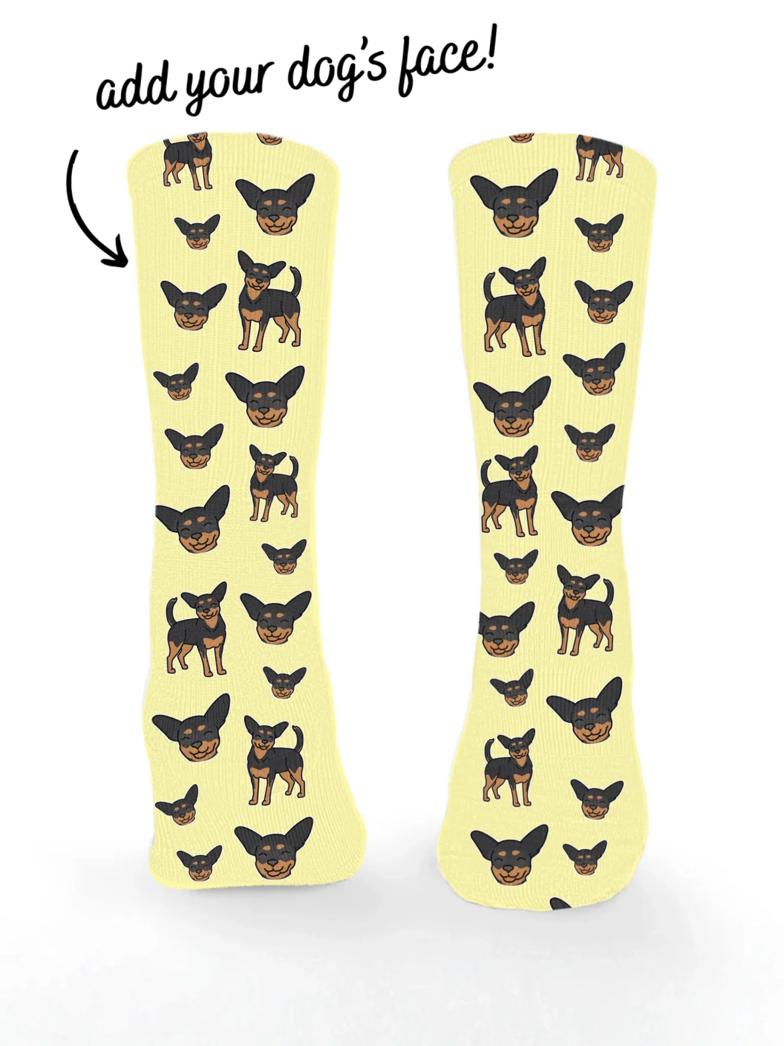 Chihuahua ColourPop Customisable Socks