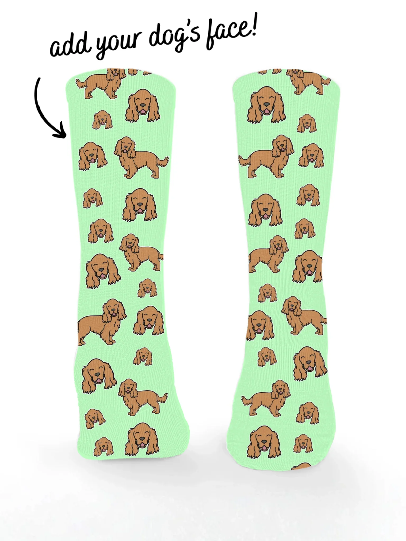 Cocker Spaniel ColourPop Customisable Socks
