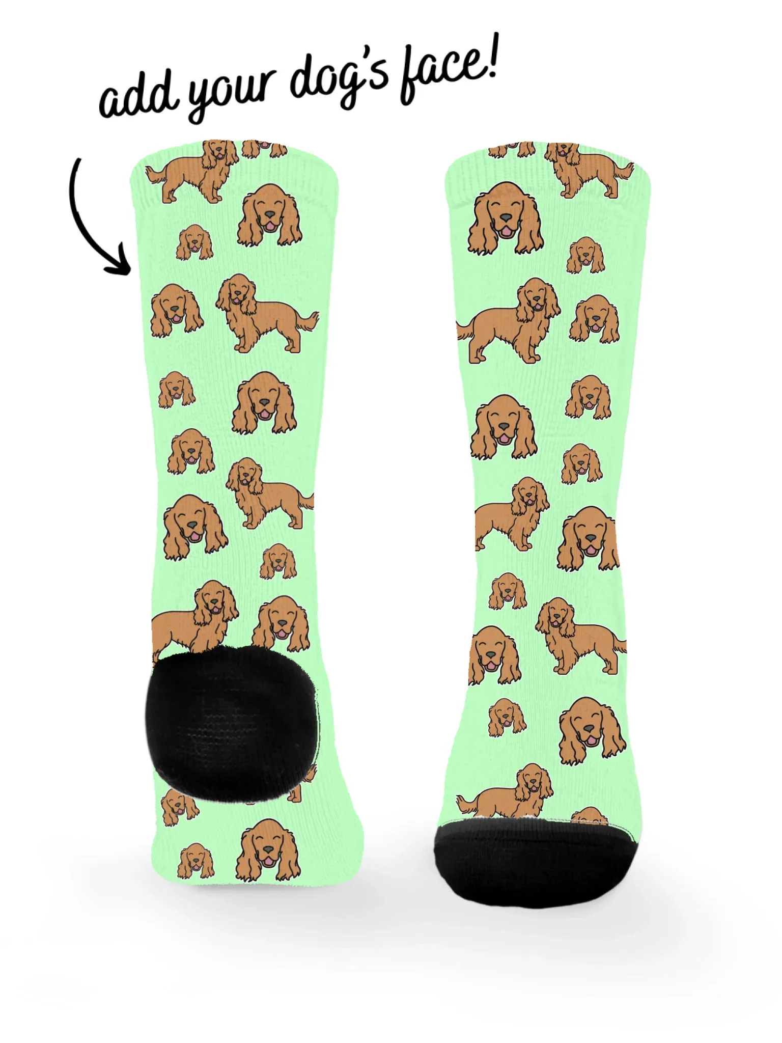 Cocker Spaniel ColourPop Customisable Socks - Image 3