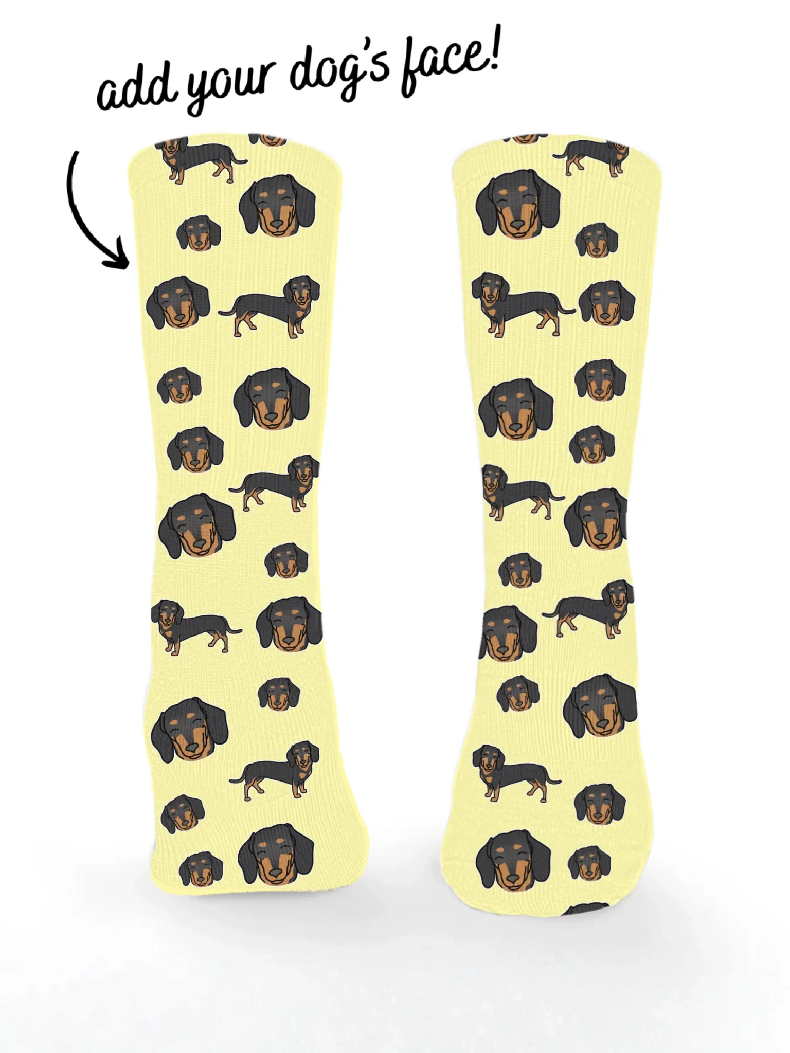 Dachshund ColourPop Customisable Socks