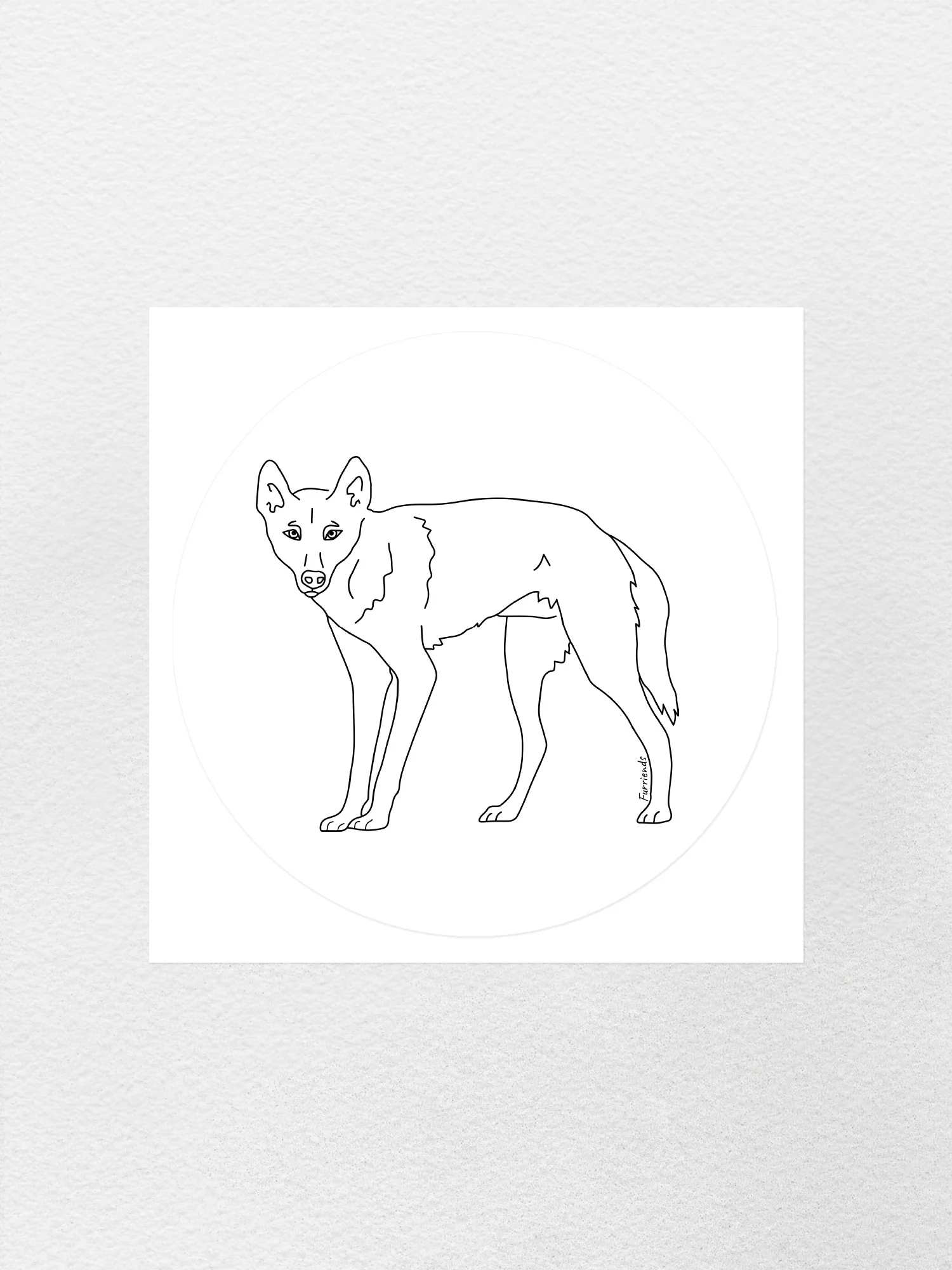 Dingo Sticker - Image 4