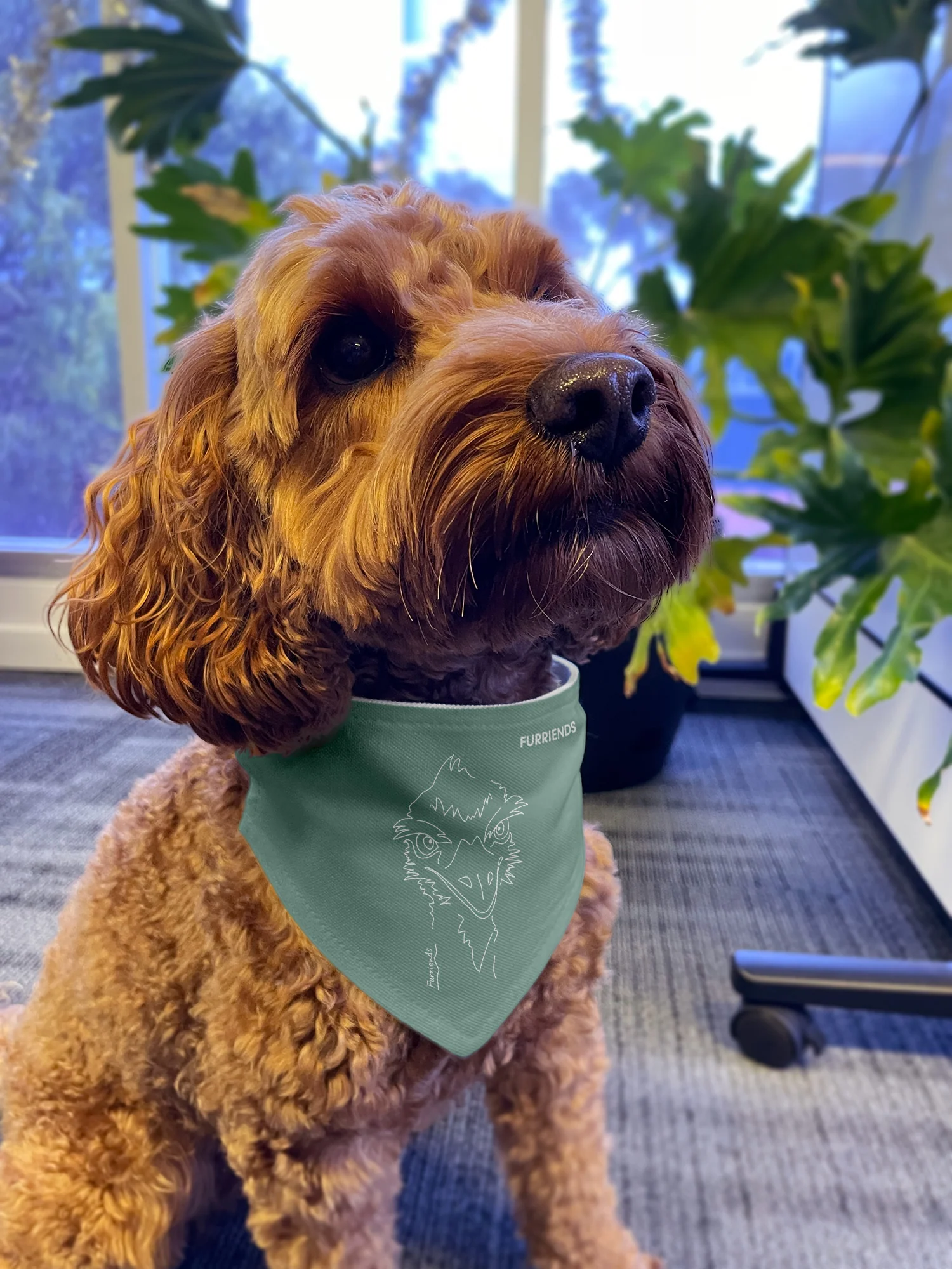 Emu Reversible Dog Bandana With Collar - Image 12