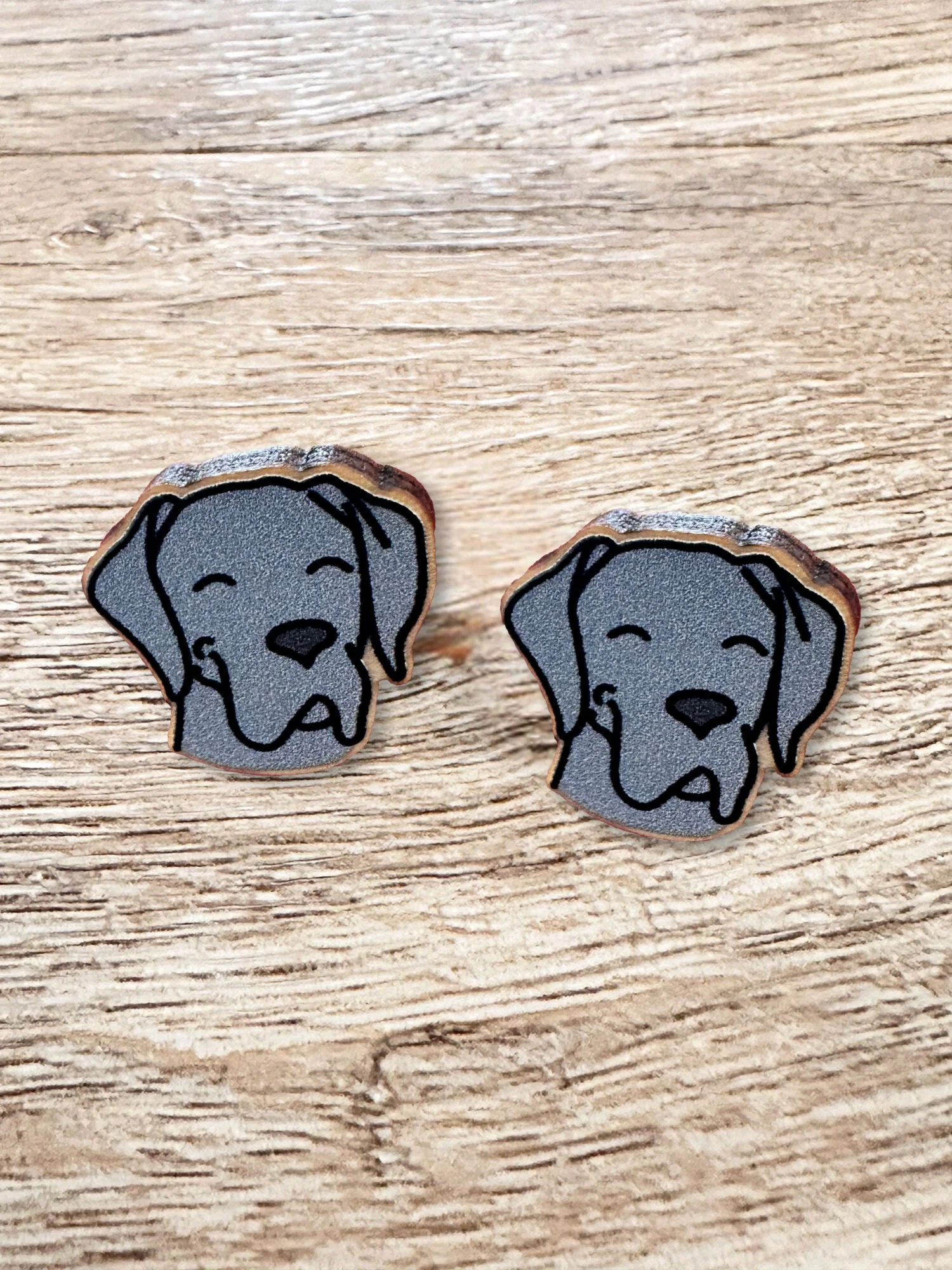 Great Dane ColourPop Stud Earrings