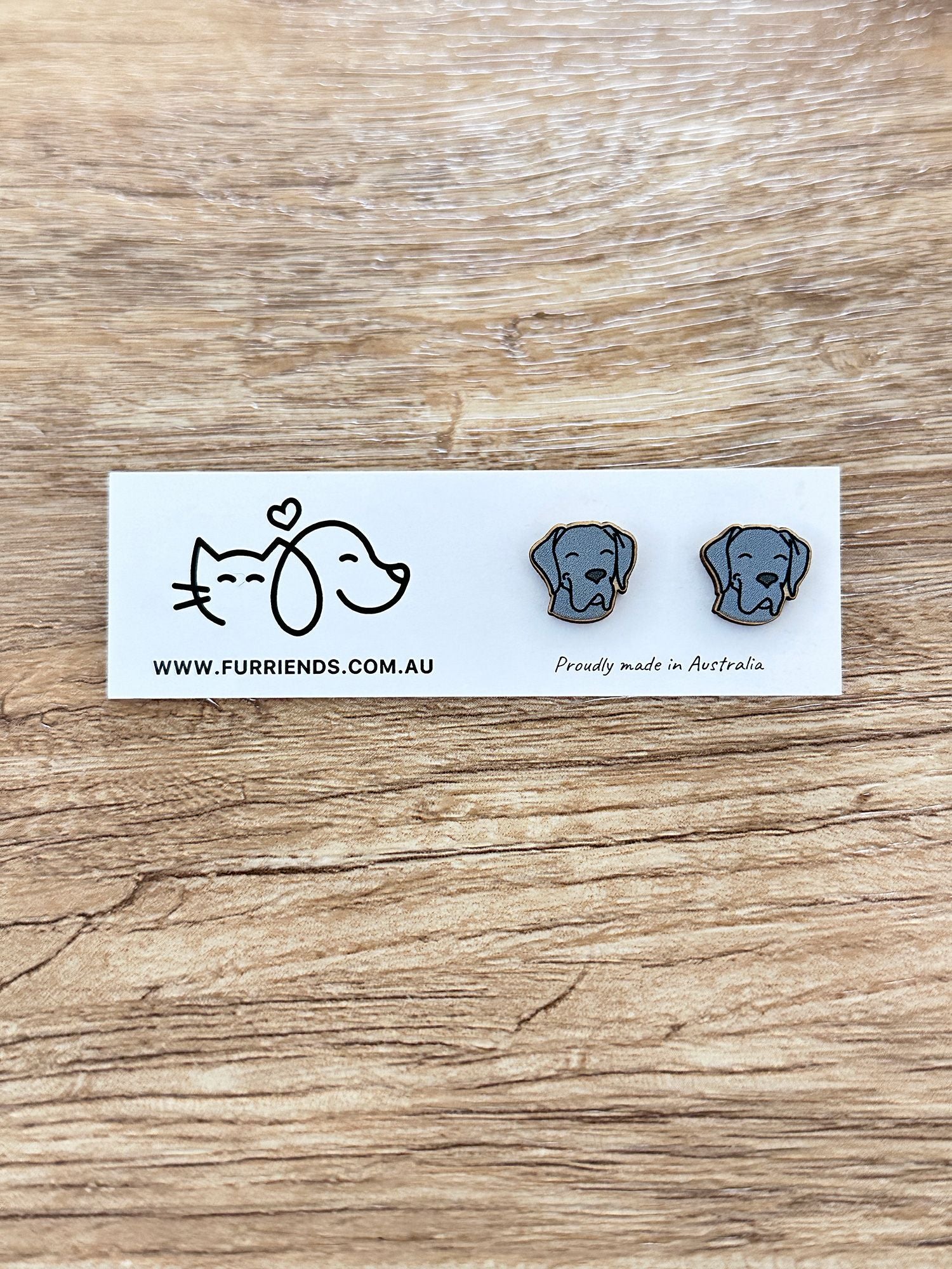 Great Dane ColourPop Stud Earrings - Image 4