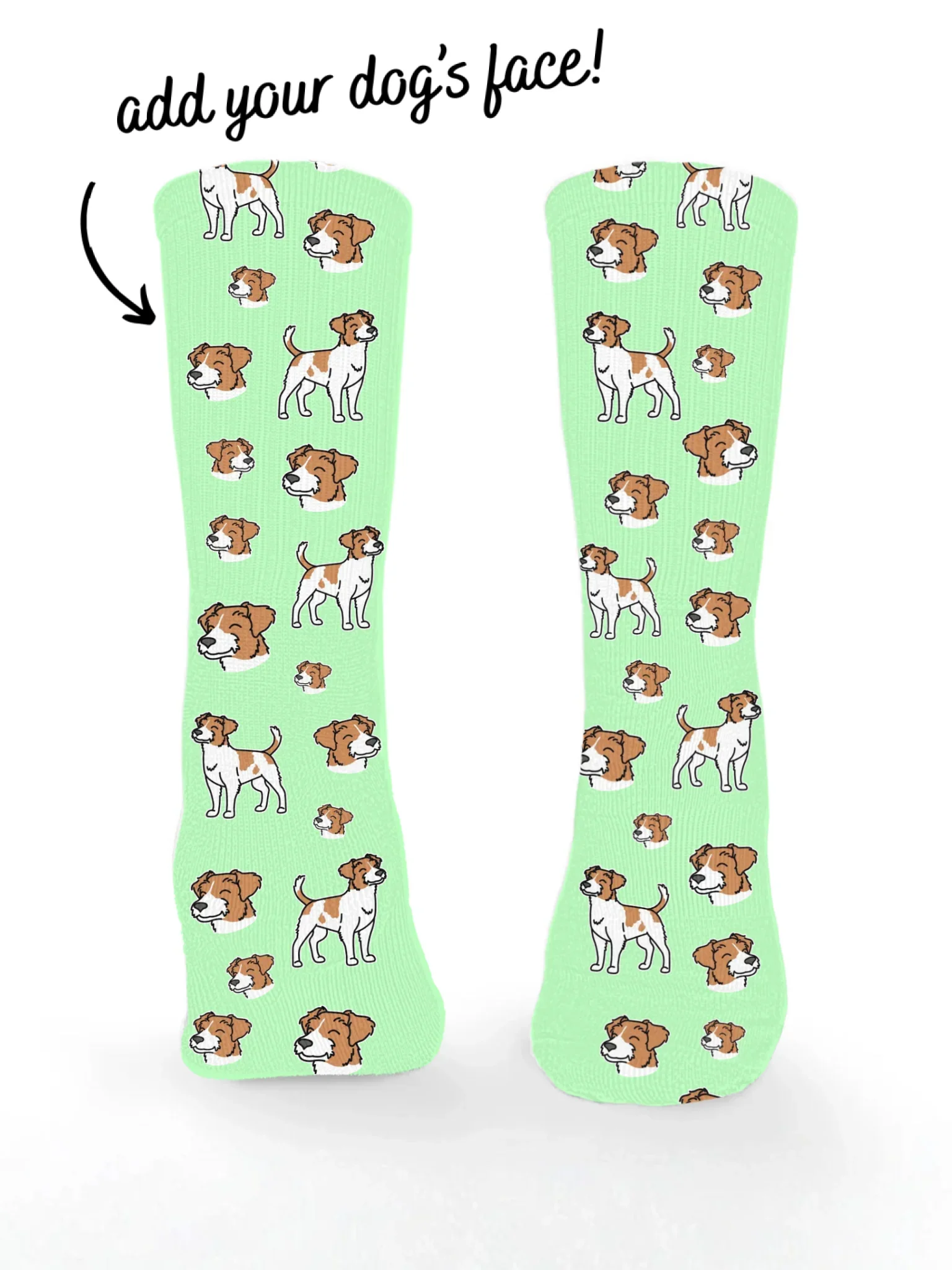 Jack Russell Terrier (Rough Coat) ColourPop Customisable Socks