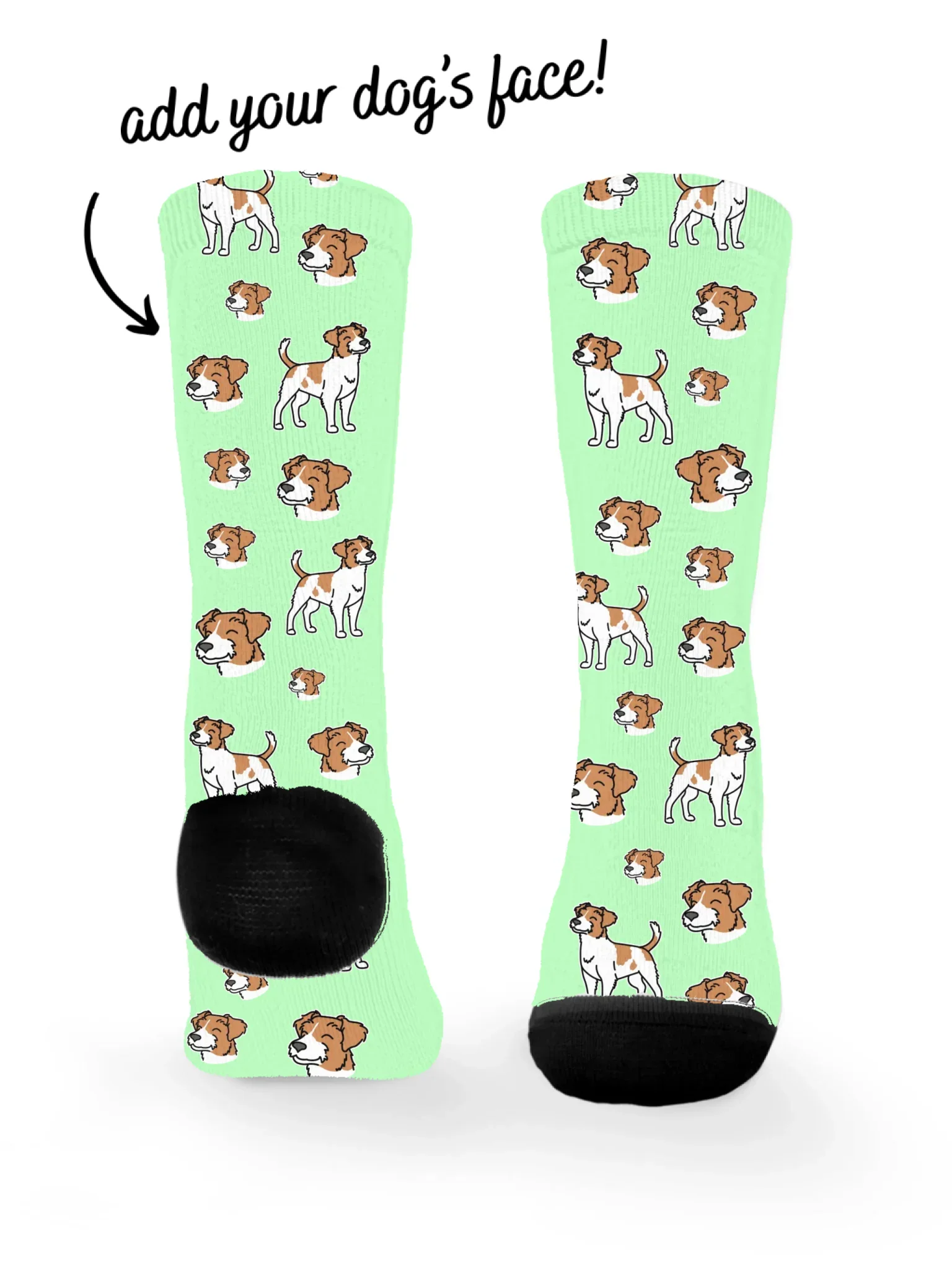 Jack Russell Terrier (Rough Coat) ColourPop Customisable Socks - Image 3