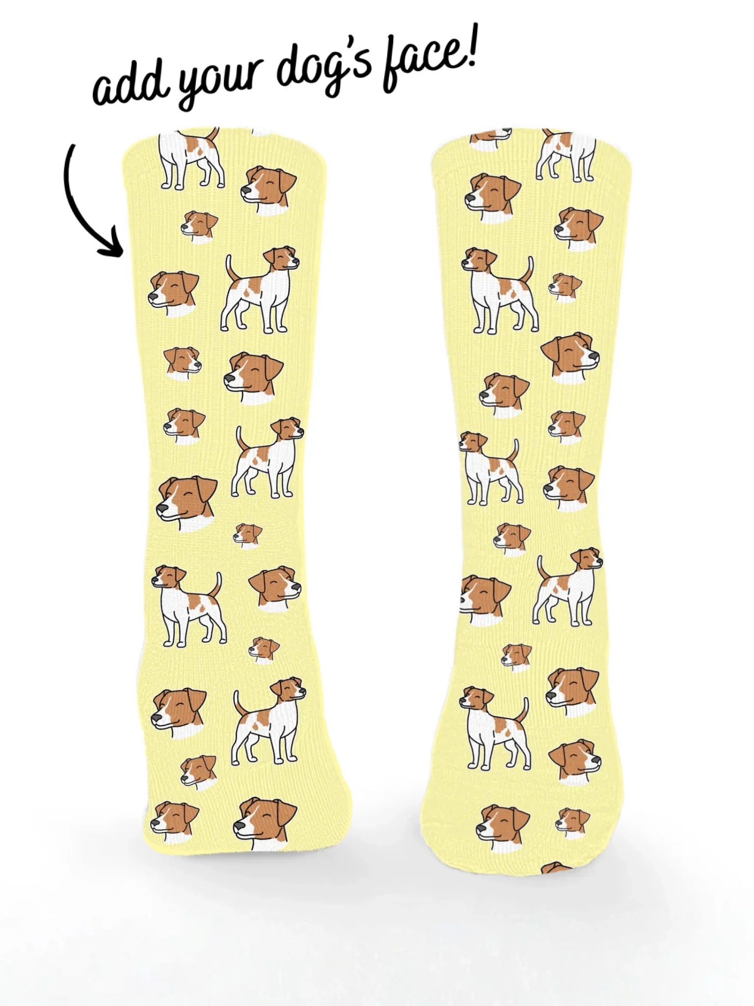 Jack Russell Terrier (Smooth Coat) ColourPop Customisable Socks