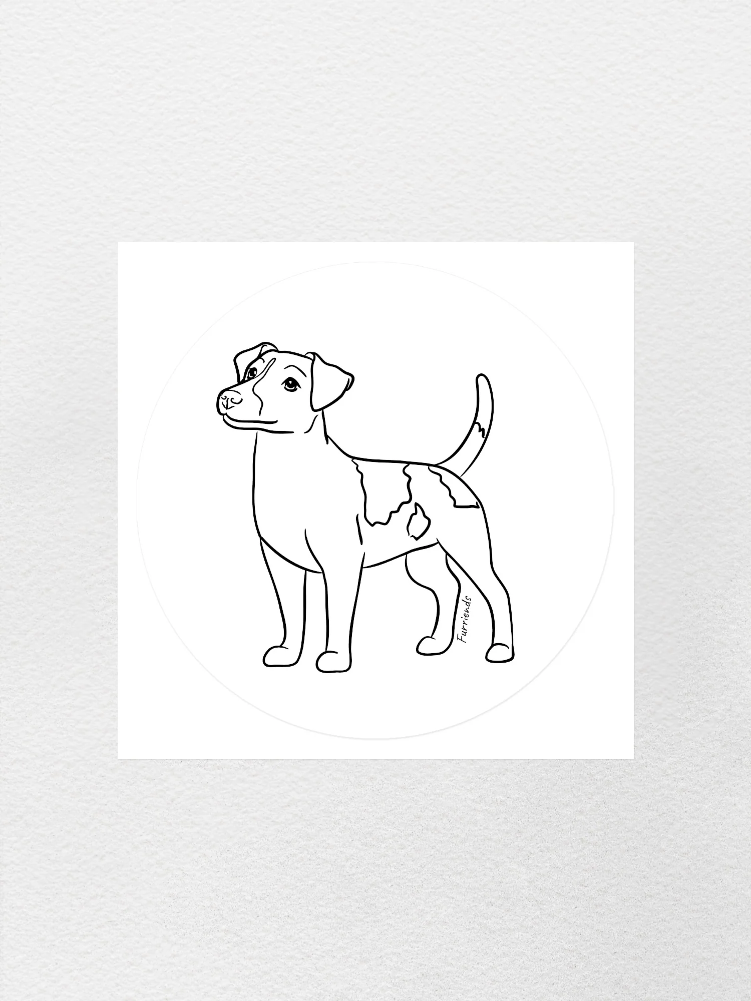 Jack Russell Terrier (Smooth Coat) Sticker - Image 5
