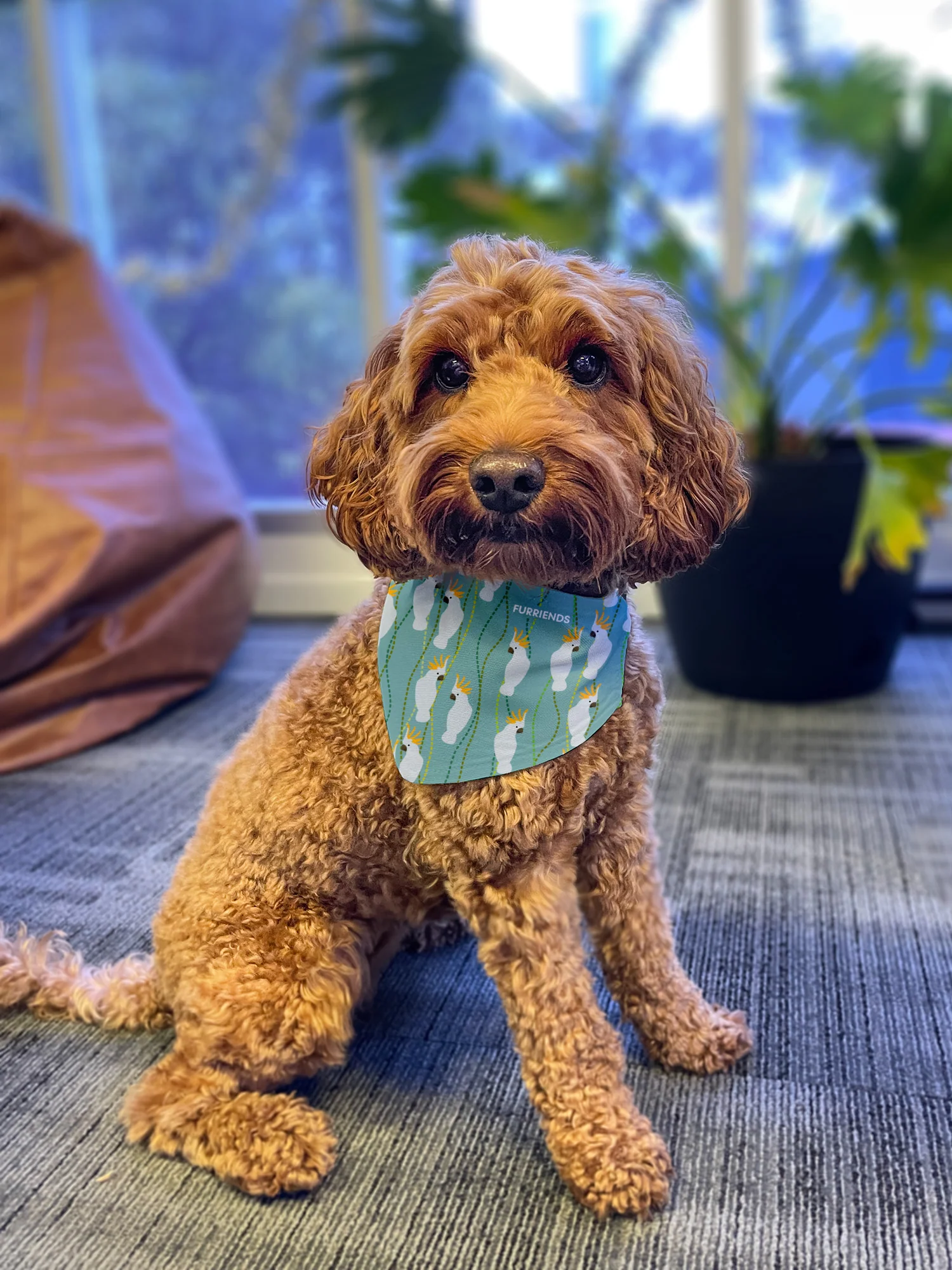 Kangaroo Reversible Dog Bandana With Collar - Image 10