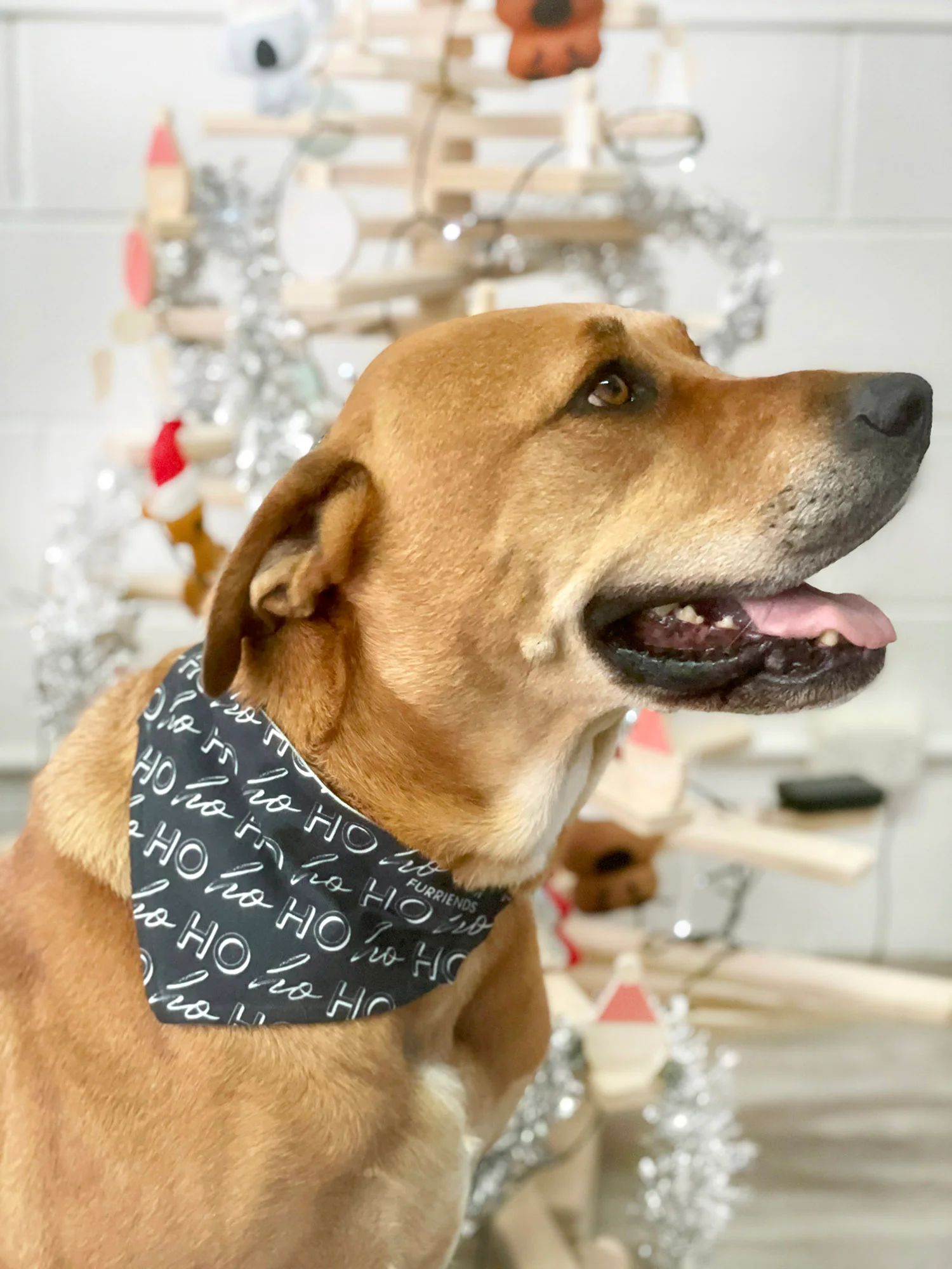 Merry Dogmas Reversible Dog Bandana With Collar - Image 5