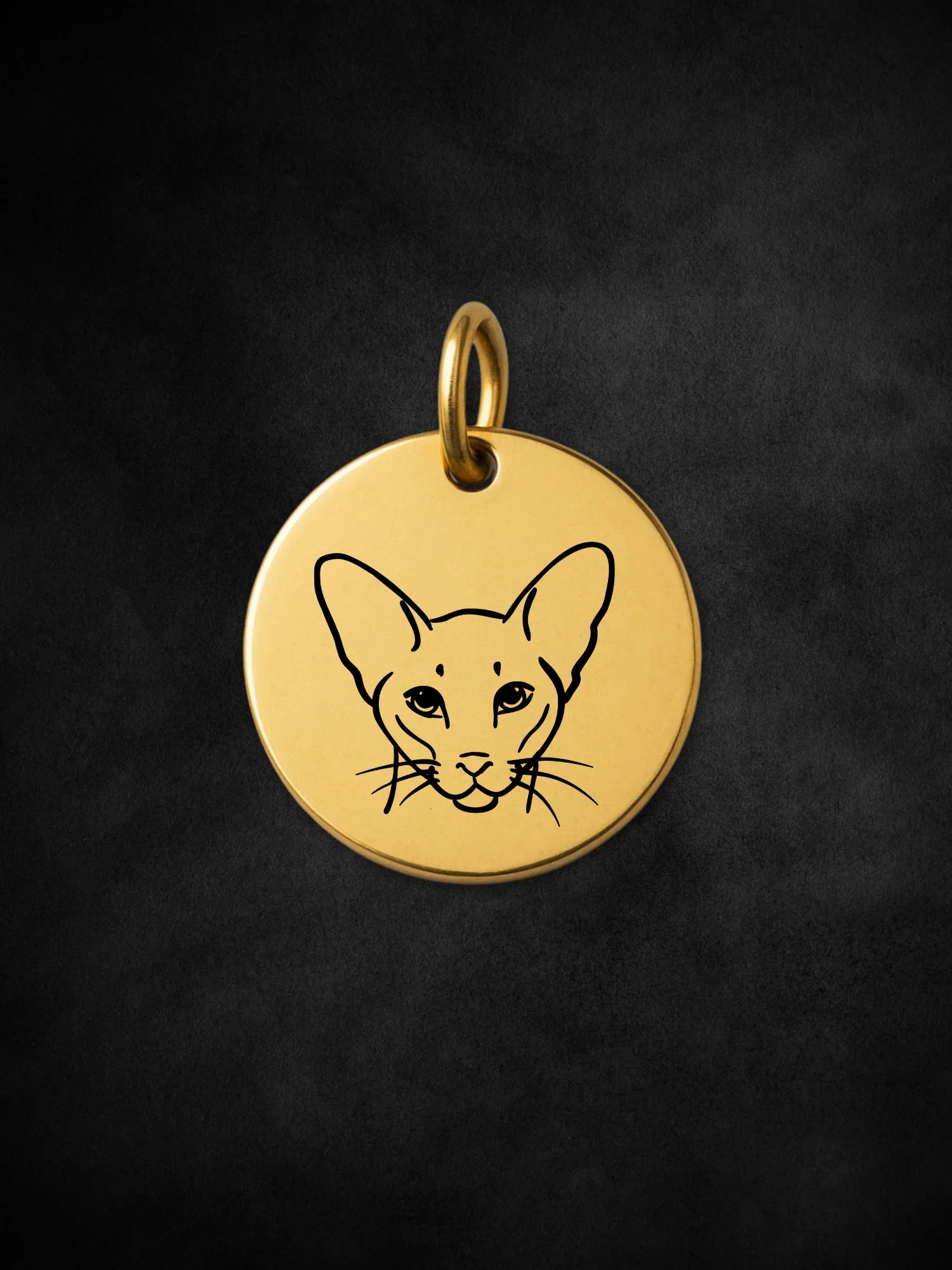 Siamese Pendant Initial Necklace - Image 3