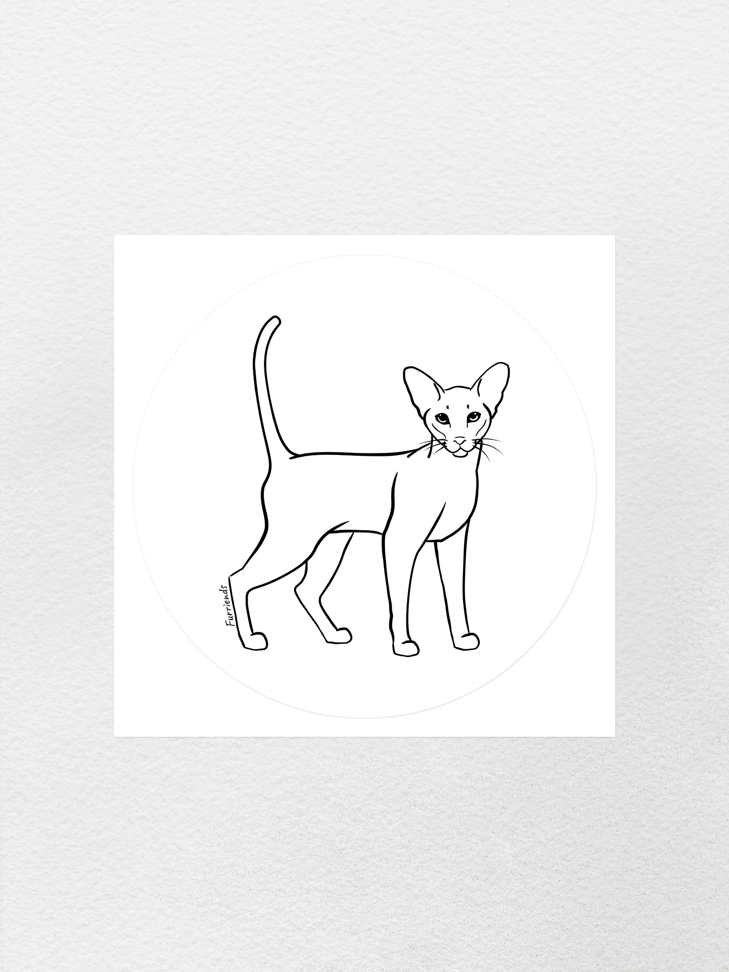 Siamese Sticker - Image 7