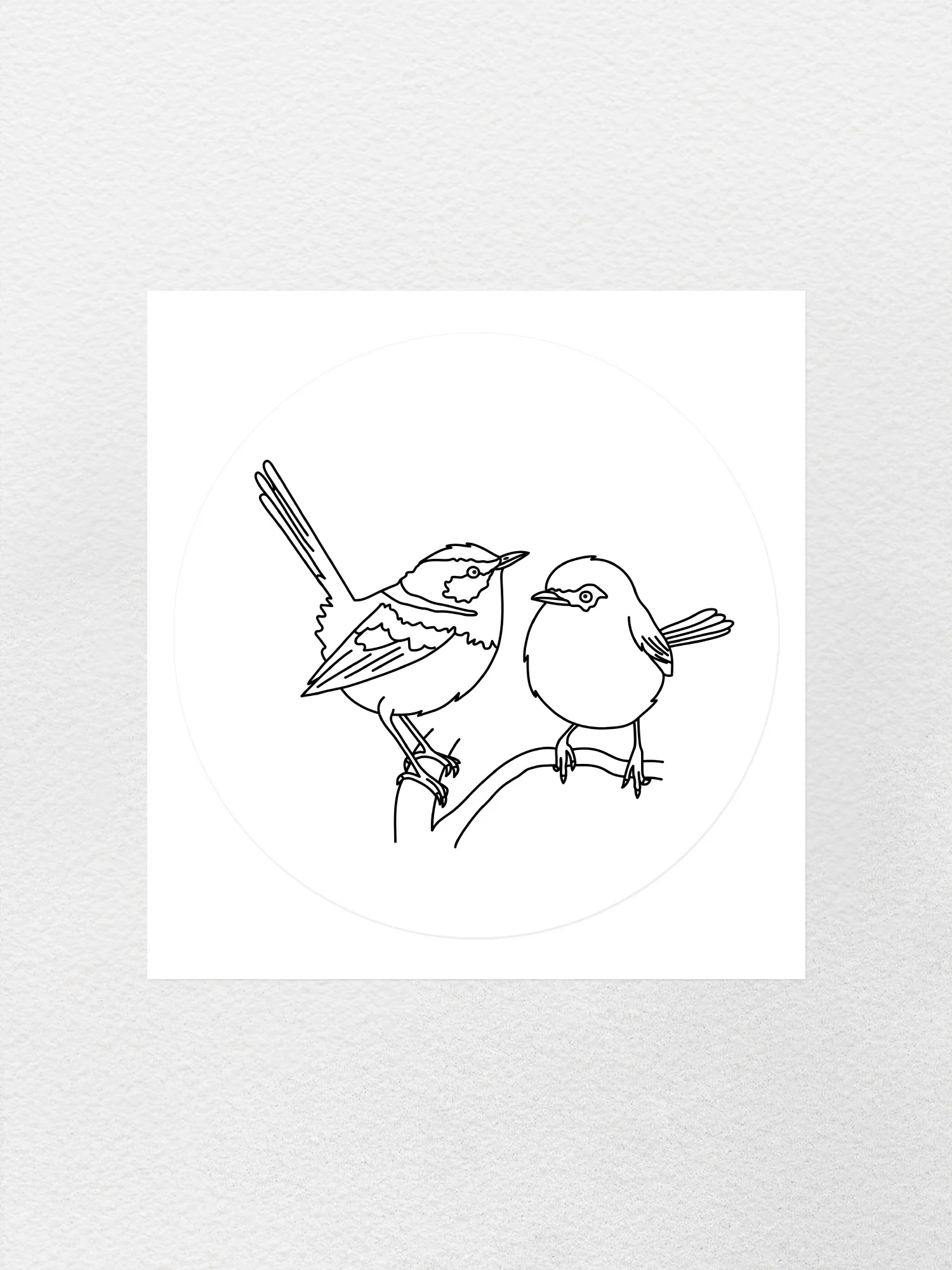 Superb Fairy Wren Sticker - Image 4