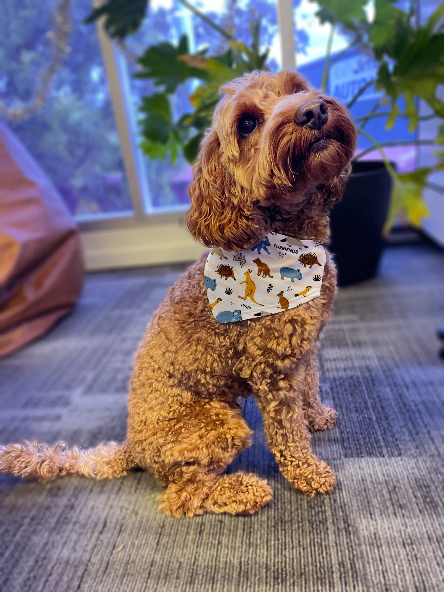 Wombat Reversible Dog Bandana With Collar - Image 11